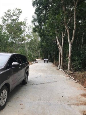 siêu vip pro 3900m2 500m2 thổ cư 65m2 mặt tiền bê tông