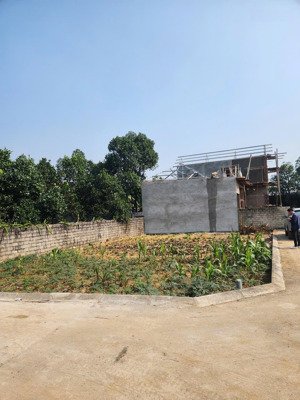 chính chủ bán đất tân xã, thạch thất, dt 182m2, giá chỉ 36tr/m2