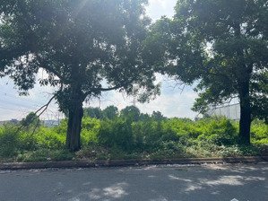 cho thuê đất trống kcn giá rẻ sử dụng ngay! *