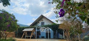 bán dự án sinh thái mắc ca đa tầng 114ha đà lạt sinh lời lâu dài