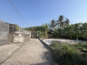 bán 4 lô đất tiềm năng lại xuân, việt khê, thuỷ nguyên, hải phòng, giá hơn 400tr/lô