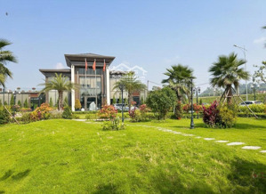 giữa sông đà và núi rừng một chuẩn sống mà nội đô không có