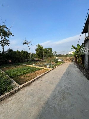 bán đất 66.3m2 tại phố hạ bằng, thạch thất, hà nội, 52 triệu / m2