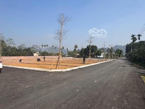 đất thổ cư giá rẻ lạc thủy 400 - 500 triệu/lô