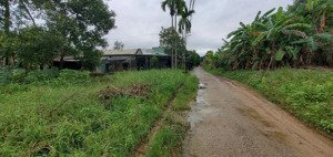 hot! bán đất hòa liên, đà nẵng diện tích 153m² - ngang 7m sổ vuông đẹp cơ hội đầu tư