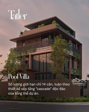 duy nhất biệt thự song lập twin villas 160m2 fullton còn sót lại tại vinhomes ocean park 03
