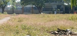 lô 5m ngang khu tái định cư tam an - dt: 135,9m2, giá: 2,5 tỷ - an phước, long thành, đồng nai