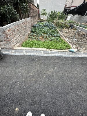 50m đất đẹp nam hồng phúc thịnh đông anh ngõ thông ô tô - cách 20m ra bìa làng ô tô tránh