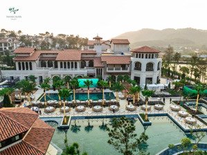 suất ngoại giao căn song lập intercontinental - camellia