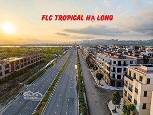 chính chủ em bán giá 16tr/m2 lk 75 view vườn hoa tại dự án flc tropical hạ long muốn bán giá rẻ