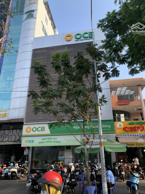 chuyển nhượng mặt tiền phan xích long, p 2, phú nhuận - 8x18m - 6 tầng - hđt 180tr/th - giá 60 tỷ