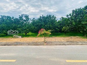 bán đất tại trừ văn thố, bàu bàng, bình dương, 1,9 tỷ, 500m2, sổ sẵn, có thỏ cư có ngân hàng hỗ trợ