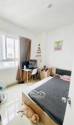 chung cư topaz garden, trịnh đình thảo, tp: 75m2, 2pn, có nt, 9tr