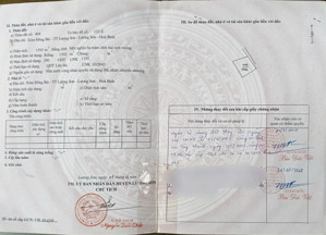 chủ cần bán trước tết lấy tiền mua đào quất