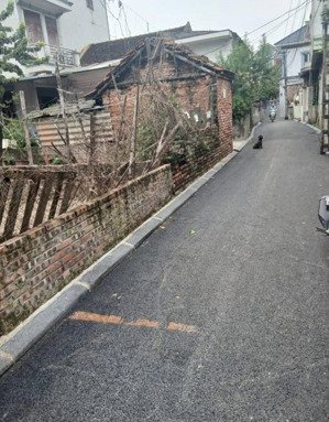 bán đất tại ngọc chi, đông anh, hà nội, 6,6 tỷ, 56 m2 cách cầu nhật tân 200m