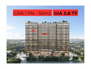 nhận bk 50 triệu toà mira 6s - regal complex. giá 65tr/m2 - view biển & sông cổ cò - full nội thất