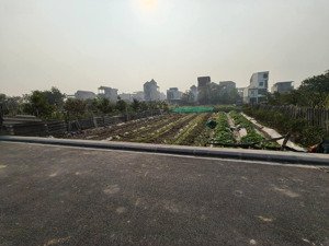 đất ruộng vân nội 264m2, mt10m, lúa nước, 950tr, ngay đấu giá, đông anh.