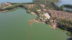 chủ bán gấp 5.000m² đất trị an thích hợp farmstay