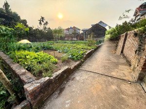 bán đất vị trí vàng mỹ thành - phúc sơn, giao thông thuận lợi, giá tốt