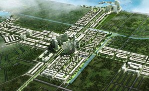 futa kim phát độc quyền duy nhất căn thấp nhất dự án