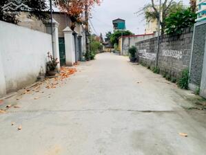 Lô đất 65m² giá chỉ 1,4 tỷ tại Mỹ Tranh, Nam Sơn, An Dương Lh 0979087664