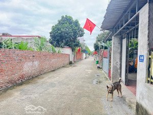 bán đất tại xã quang tiến, sóc sơn, hà nội, 3,5 tỷ, 100m2 chỉ với giá siêu hời