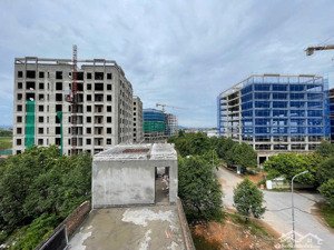 bán đất đấu giá bạch đa kim hoa mê linh hà nội