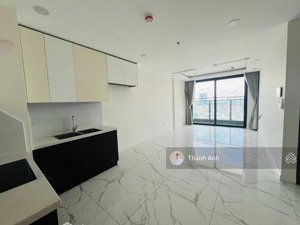 cho thuê căn hộ 2pn 2wc ntcb sunshine sky city giá tốt