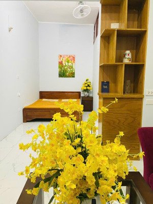 nhà riêng cho thuê tại đường nguyễn quyền, hai bà trưng, hà nội, 8 triệu, 28 m2