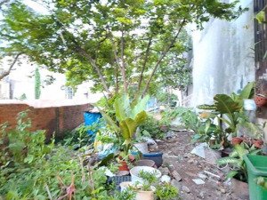 bán đất thổ cư full 235m2 nở hậu hxh lê văn khương - hiệp thành - chỉ 32 triệu/m2 khu xây cao tầng