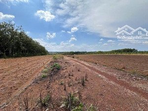 quyền sử dụng đất thuộc thửa đất số 78, tờ bản đồ số 39 tại kp.tân liên xã đồng phú, tỉnh đồng nai