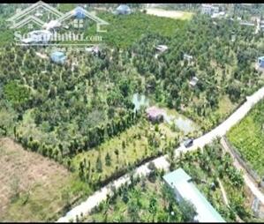 Quỹ đất nghỉ dưỡng hướng hồ tại khu vực Damb’ri, Bảo Lộc