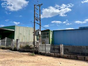 Cần cho thuê kho, nhà xưởng diện tích 10.000m2 Quốc lộ 19 Pleiku - Gia Lai