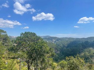 cần bán 1.100m2 đất xây ks cực đỉnh ngay đỉnh đèo pren giá 35ty viêw thông đẹp nhất đà lạt