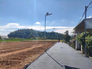 bán 15 lô fo - mặt tiền nhựa bồng lai, đức trọng - 5x27, full thổ cư, sổ sẵn, 1,150ty