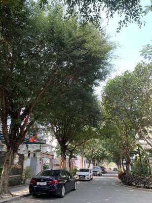 biệt thự song lập dương nội - 198m2 - 4t - gần công viên thiên văn học - không gian xanh hiếm