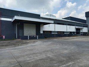 cho thuê xưởng mới kcn an phước long thành - pccc tự động, ký túc xá 1624m2, điện 1500, tổng 1.5ha