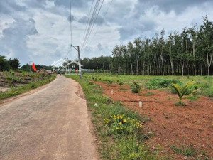 đất hcm - đất thật - giá thật, 154m2 ( sẵn 100tc ), ngay ubnd xã, trường - giá: 420tr ( bao phí )