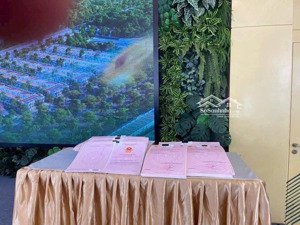 the link city dầu giây khu đô thị vệ tinh giao điểm ql1a & ql20, đầu tư sinh lời bền vững