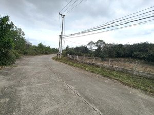 bán đất nhà vườn gần kdl bà nà diện tích: 4.600m² có sẵn nhà vườn, nhiều cây ăn quả