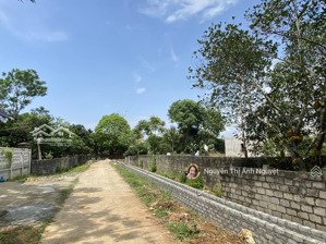 bán đất tại thị trấn kiểu, yên định, thanh hóa, 4 triệu / m2, 90 m2, hot!