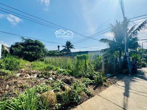 bán đất có sổ diện tích đẹp phù hợp xây biệt thự nhà vườn vĩnh phương 171,5m mt 7m giá 2,500 tỷ