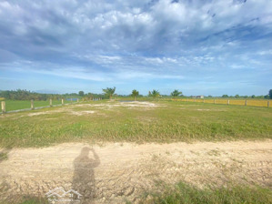 chỉ với hơn 1,1 triệu/m2 sở hữu ngay đất sào gần biển lagi (1631.8m2) h. nguyễn thông, tân bình