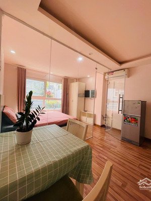 cho thuê căn hộ full nt ban công thang máy quận 1 -đinh công tráng - gần chợ tân định,chợ tân định