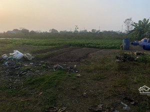 bán lô đất nông nghiệp tại long châu sơn, phường chương mỹ (xã phụng châu cũ), tp hà nội.