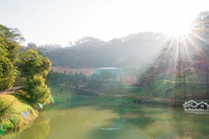 độc quyền bt lô góc view toàn cảnh rừng thông sd 515m2 chỉ 23.6 tỷ