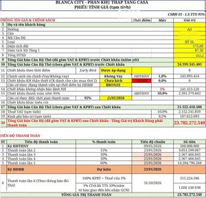 bán biệt thự song lập trục a3 - quỹ đất sở hữu lâu dài ven biển cuối cùng tại đô thị biển vũng tàu