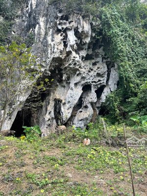 chủ hạ giá từ 5 tỷ về 4.2 tỷ bán lô đất 2205m/400m ont tại lương sơn sử dụng gần 4000m. sát núi đá