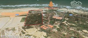 bán dự án mặt biển lạc long quân, 21000 m2, mặt tiền 101m, pháp lý đầy đủ giá 230 tỷ