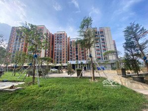 ưu đãi tết bính ngọ chiết khấu lên đến 6% nhà ở xã hội solrise nhơn phú an cư đầu năm